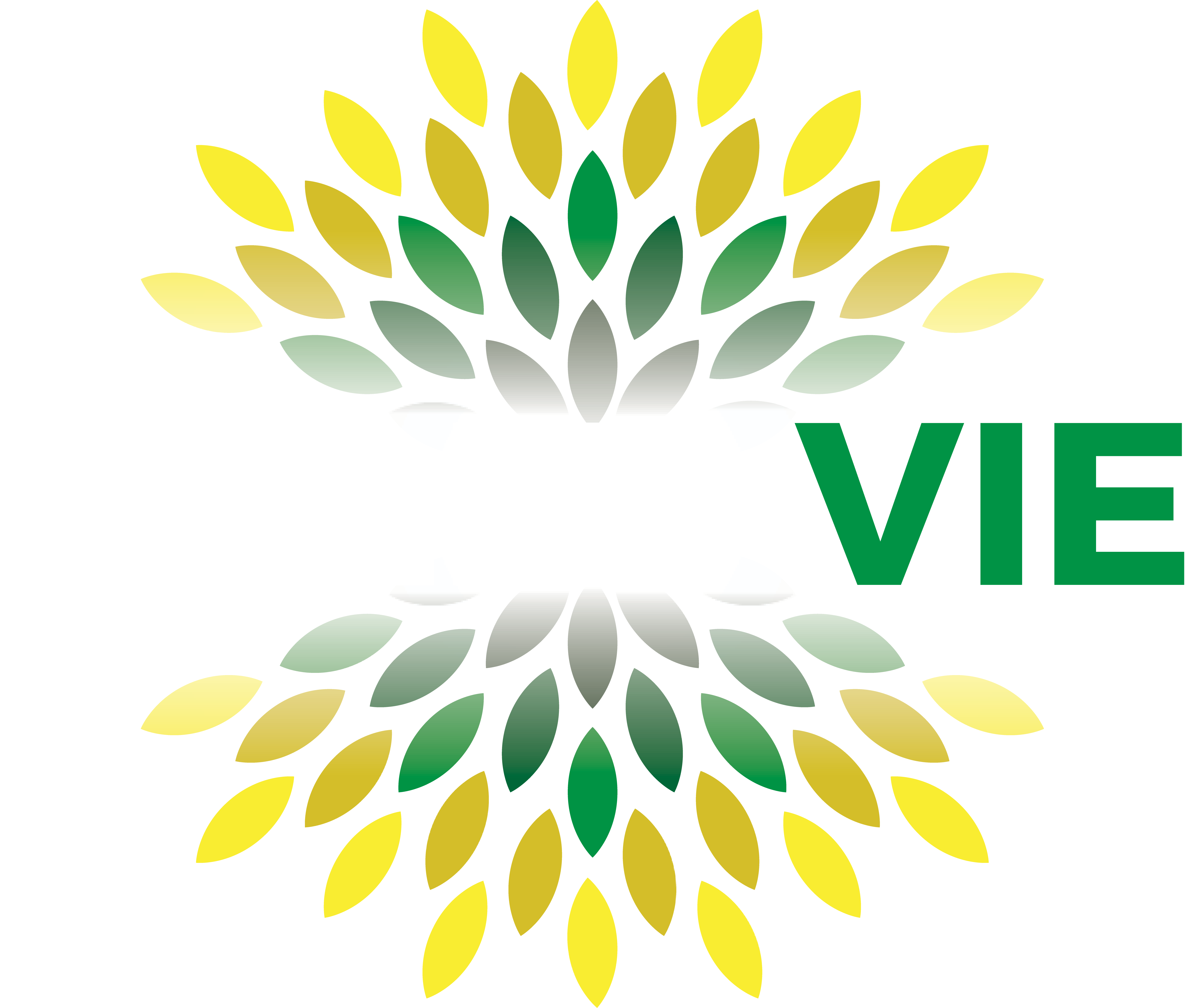 Belle Vie